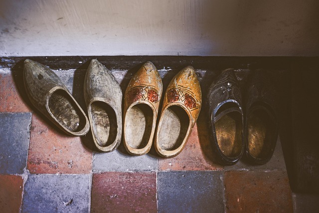 house shoe