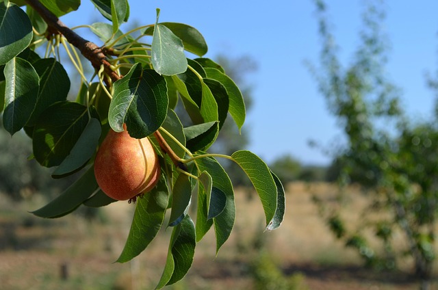 Hình ảnh minh họa ý nghĩa của từ however