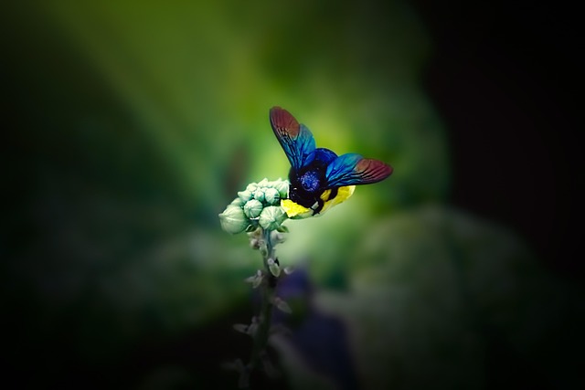 Hình ảnh minh họa ý nghĩa của từ humbly