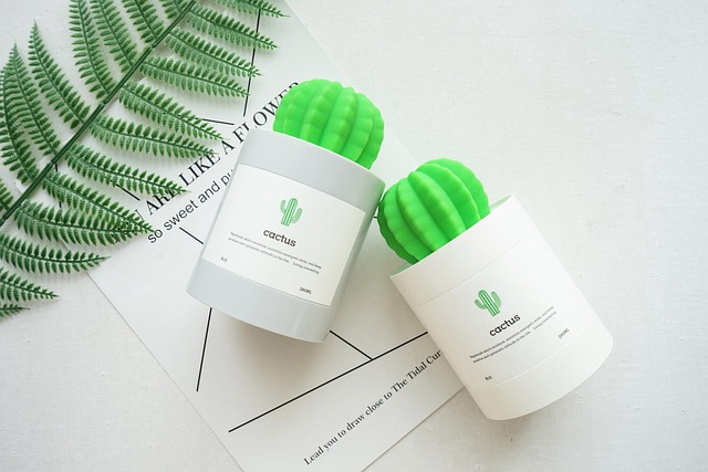 Hình ảnh minh họa ý nghĩa của từ humidifier