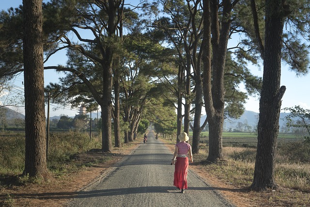 Hình ảnh minh họa ý nghĩa của từ hundred years