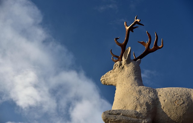 Hình ảnh minh họa ý nghĩa của từ hunt