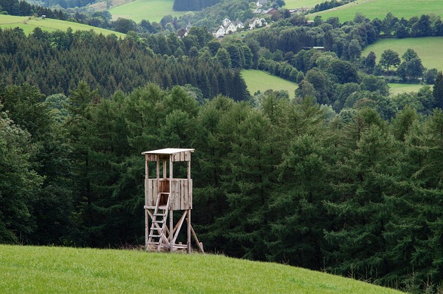 Hình ảnh minh họa ý nghĩa của từ hunting ground