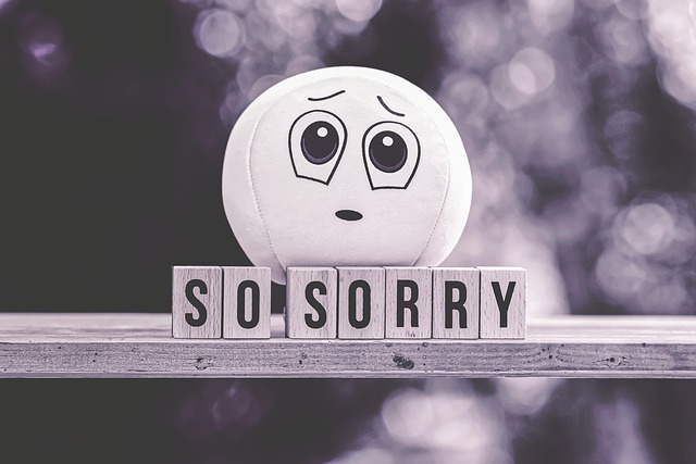i apologize