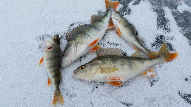ice fishing
