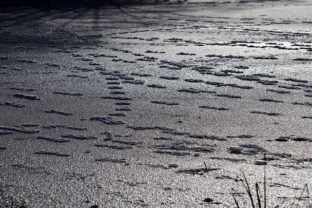 Hình ảnh minh họa ý nghĩa của từ ice over