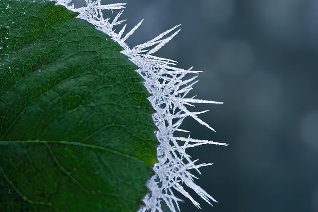 ice spike