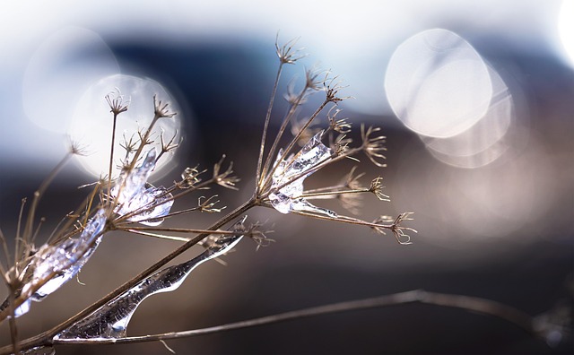 ice storm