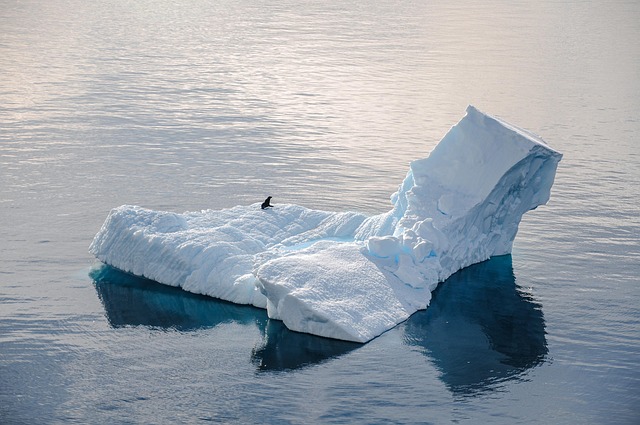 iceberg