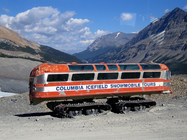 icefield system