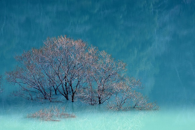 Hình ảnh minh họa ý nghĩa của từ idle