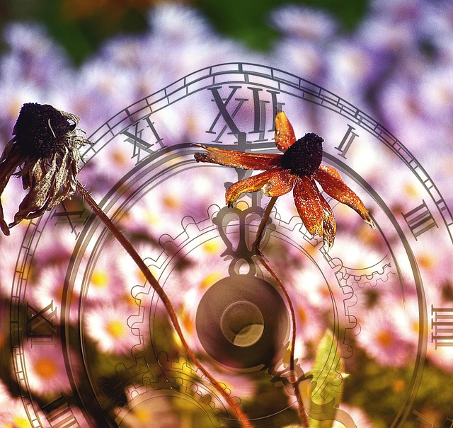 Hình ảnh minh họa ý nghĩa của từ immutably