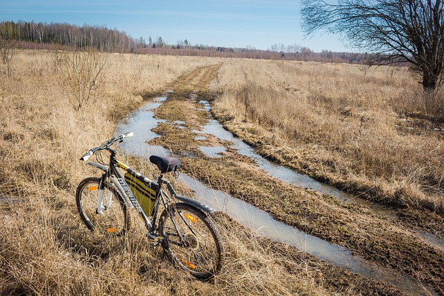 Hình ảnh minh họa ý nghĩa của từ impassively