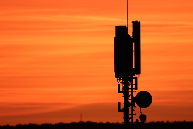 Hình ảnh minh họa udfører