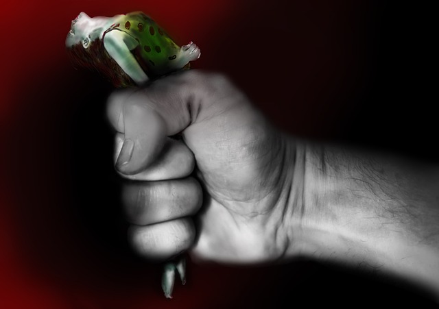 Hình ảnh minh họa ý nghĩa của từ imprisonment