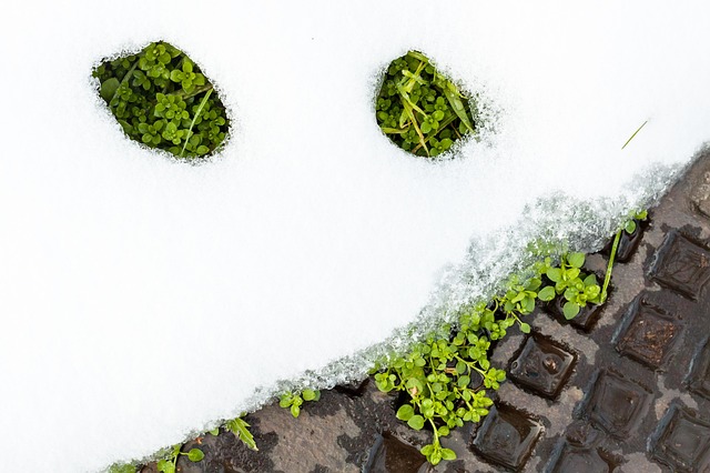 Hình ảnh minh họa ý nghĩa của từ in contrast