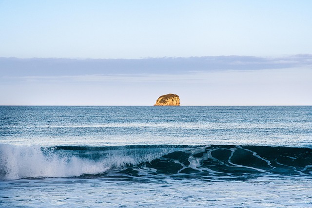 in the sea