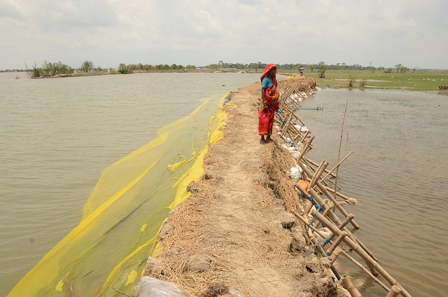 Hình ảnh minh họa ý nghĩa của từ inactivate