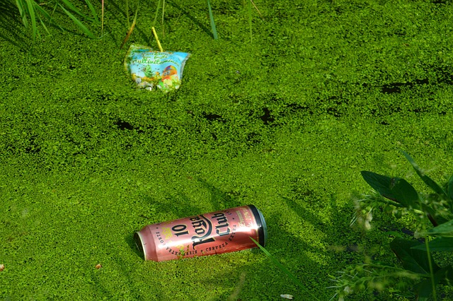 Hình ảnh minh họa ý nghĩa của từ incivility