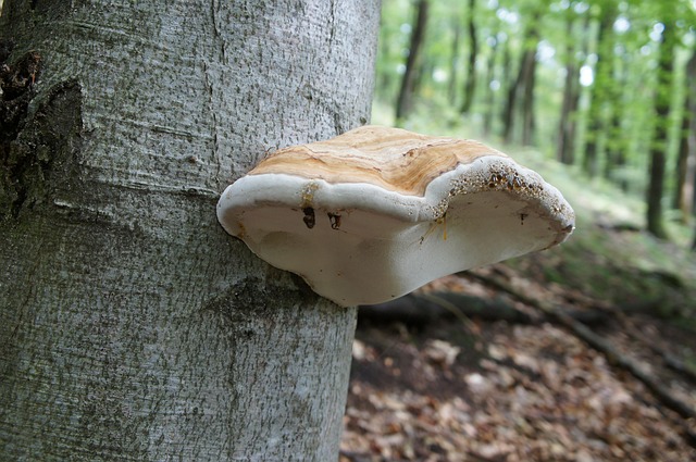 Hình ảnh minh họa ý nghĩa của từ incremental innovation