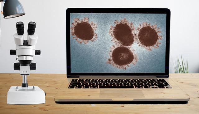 Hình ảnh minh họa ý nghĩa của từ incubation