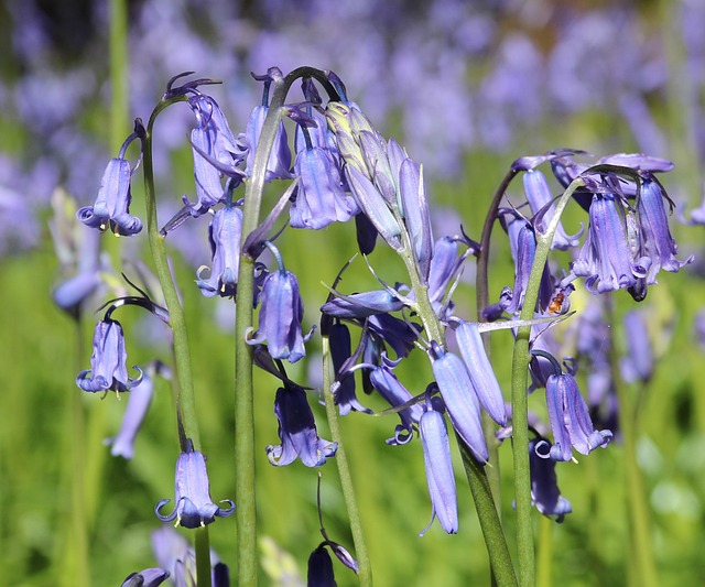 Hình ảnh minh họa ý nghĩa của từ indefatigable