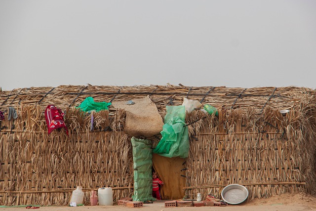 Hình ảnh minh họa ý nghĩa của từ indigenous people