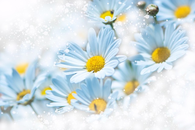 Hình ảnh minh họa ý nghĩa của từ indistinctness