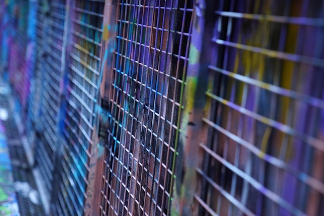 Hình ảnh minh họa ý nghĩa của từ individualistic