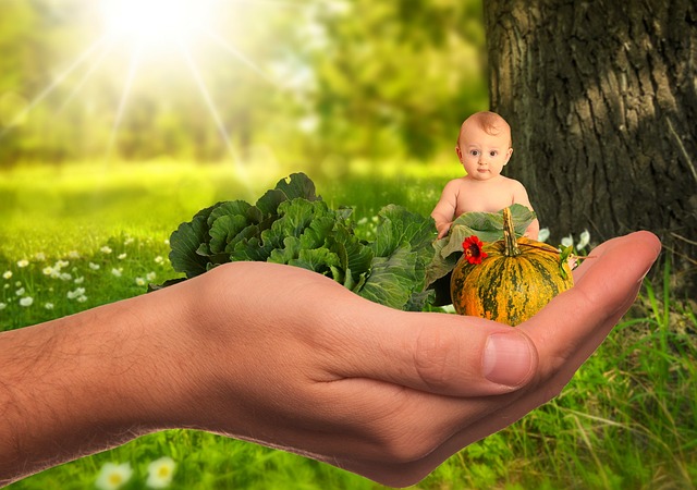 infant food