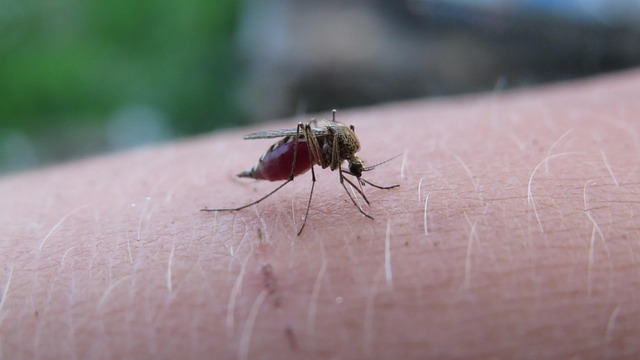 infectious diseases