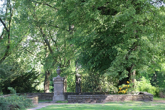 Hình ảnh minh họa ý nghĩa của từ infinity