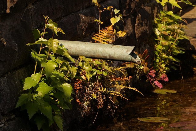 Hình ảnh minh họa ý nghĩa của từ inflow