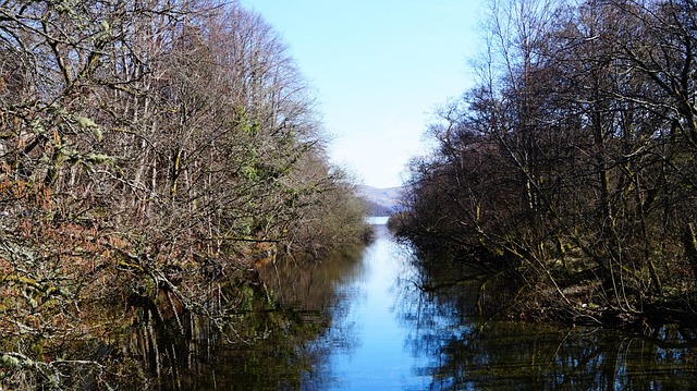 Hình ảnh minh họa ý nghĩa của từ influx