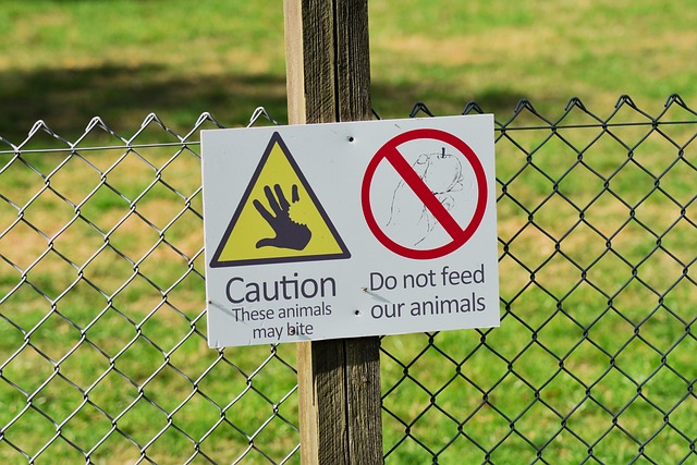 information security risk