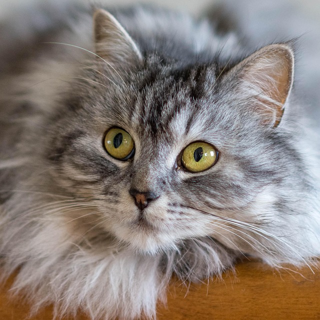 Hình ảnh minh họa ý nghĩa của từ ingesting