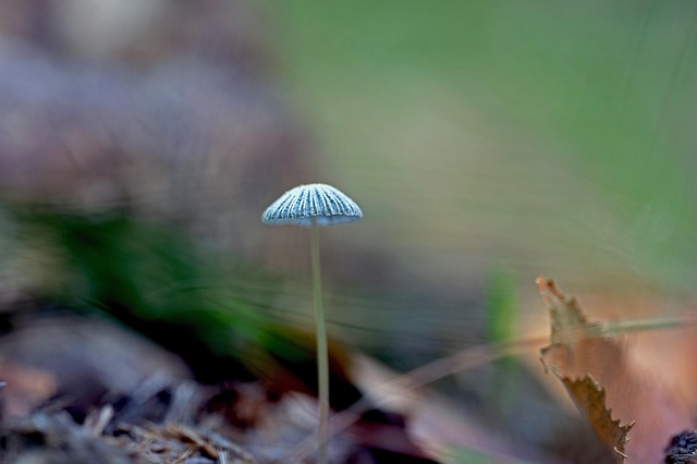 Hình ảnh minh họa ý nghĩa của từ inkling