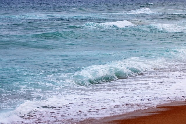 inshore waters