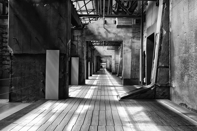 Hình ảnh minh họa ý nghĩa của từ insider perspective