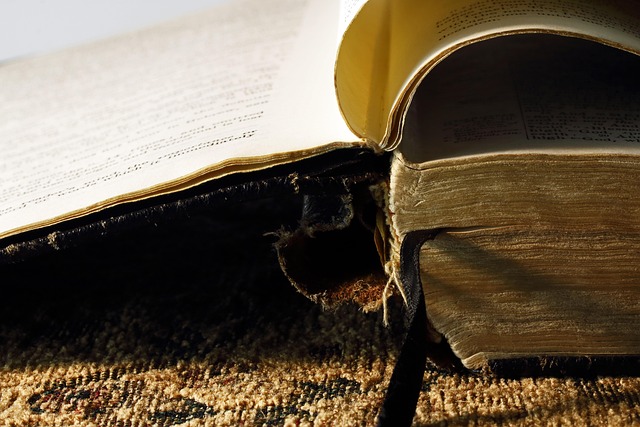 Hình ảnh minh họa ý nghĩa của từ inspired