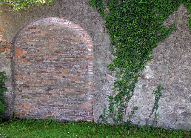 Hình ảnh minh họa ý nghĩa của từ installed