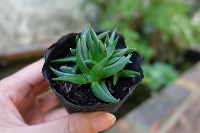 Hình ảnh minh họa ý nghĩa của từ inter-