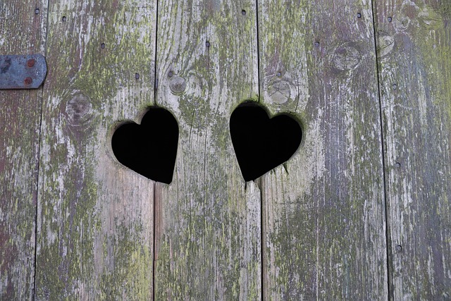 Hình ảnh minh họa ý nghĩa của từ interconnectedness