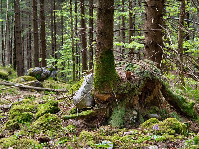 Hình ảnh minh họa ý nghĩa của từ interfacial adhesion