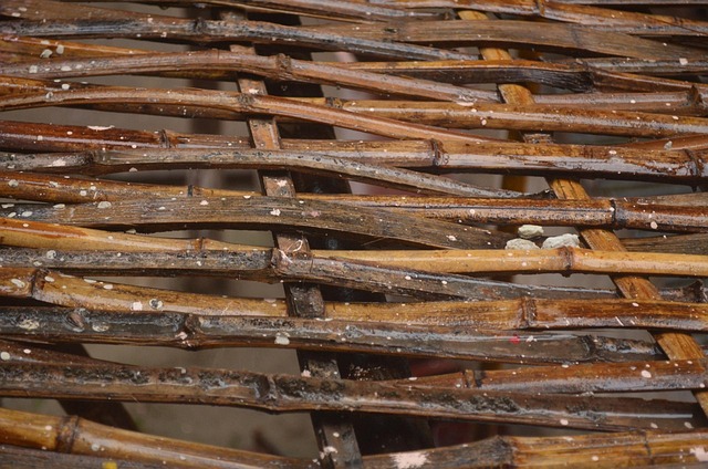 Hình ảnh minh họa ý nghĩa của từ interlace