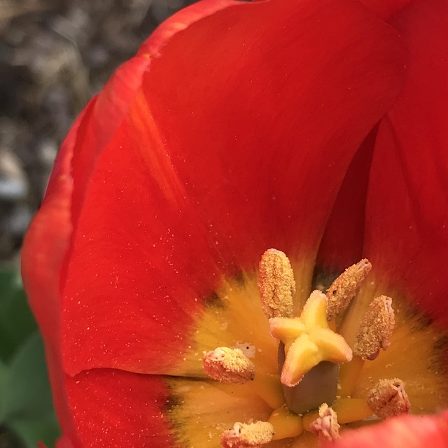 Hình ảnh minh họa ý nghĩa của từ internally