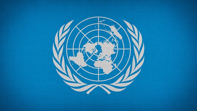 international organizations