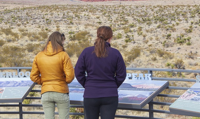 Hình ảnh minh họa ý nghĩa của từ interpretive perception