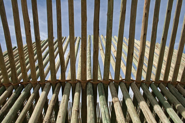 Hình ảnh minh họa ý nghĩa của từ intersecting