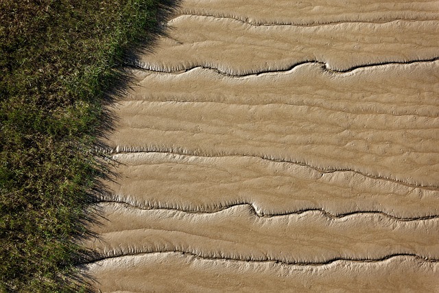Hình ảnh minh họa ý nghĩa của từ intertidal zone